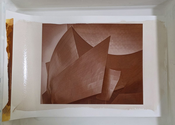 Platinum-Paladium prints